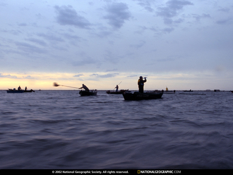 2001 - Po River, Northern Italy