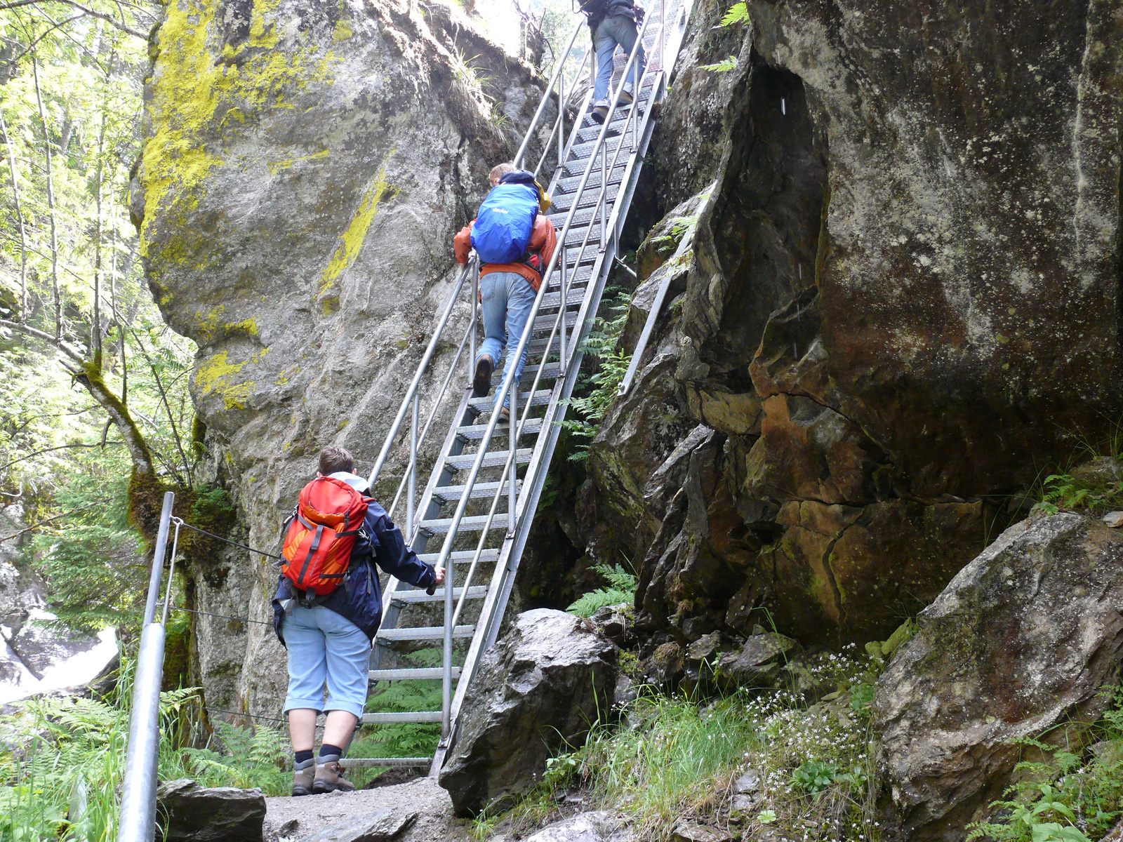 Riesach Wasserfall (51)