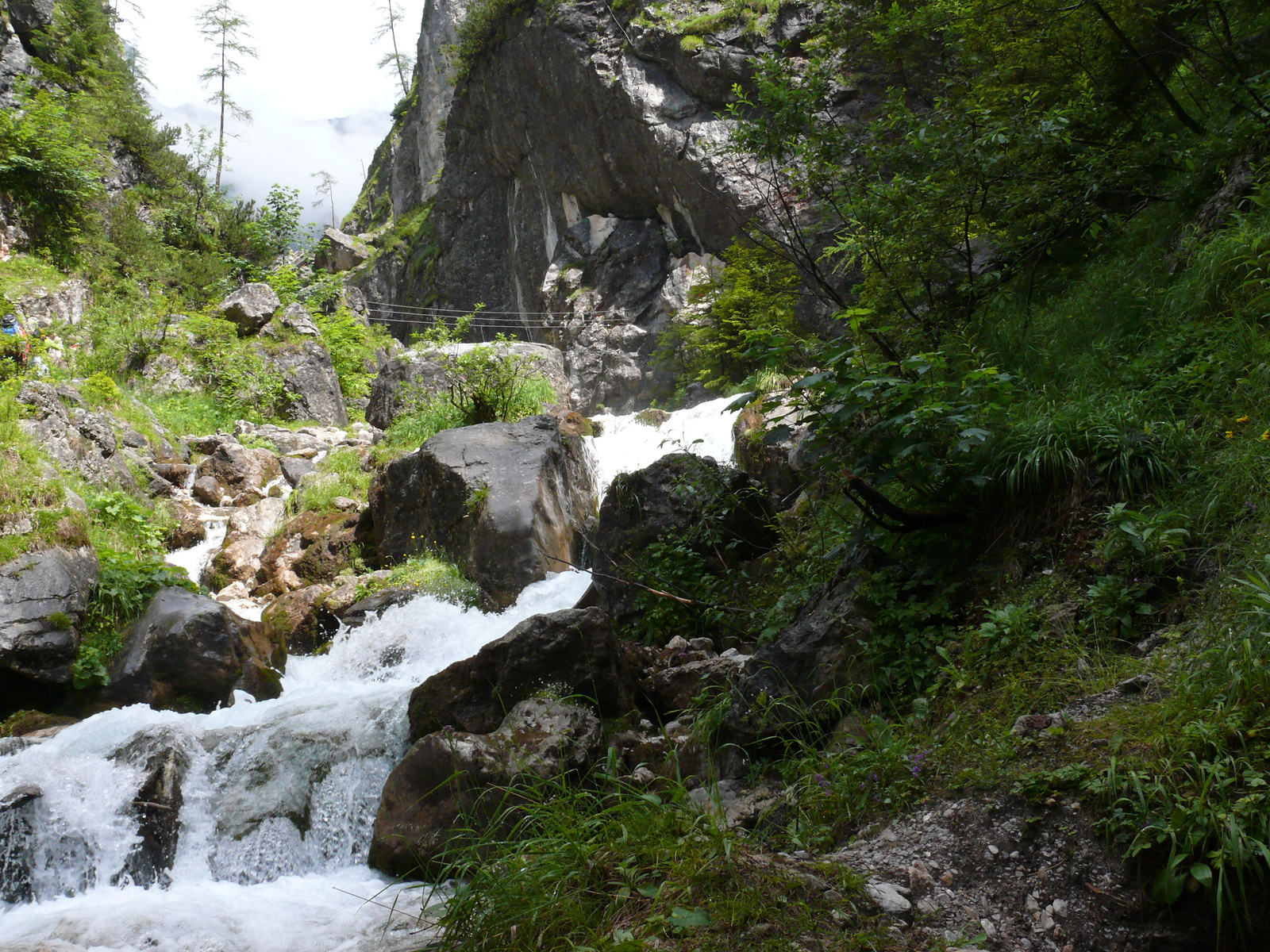 Silberkarklamm (25)