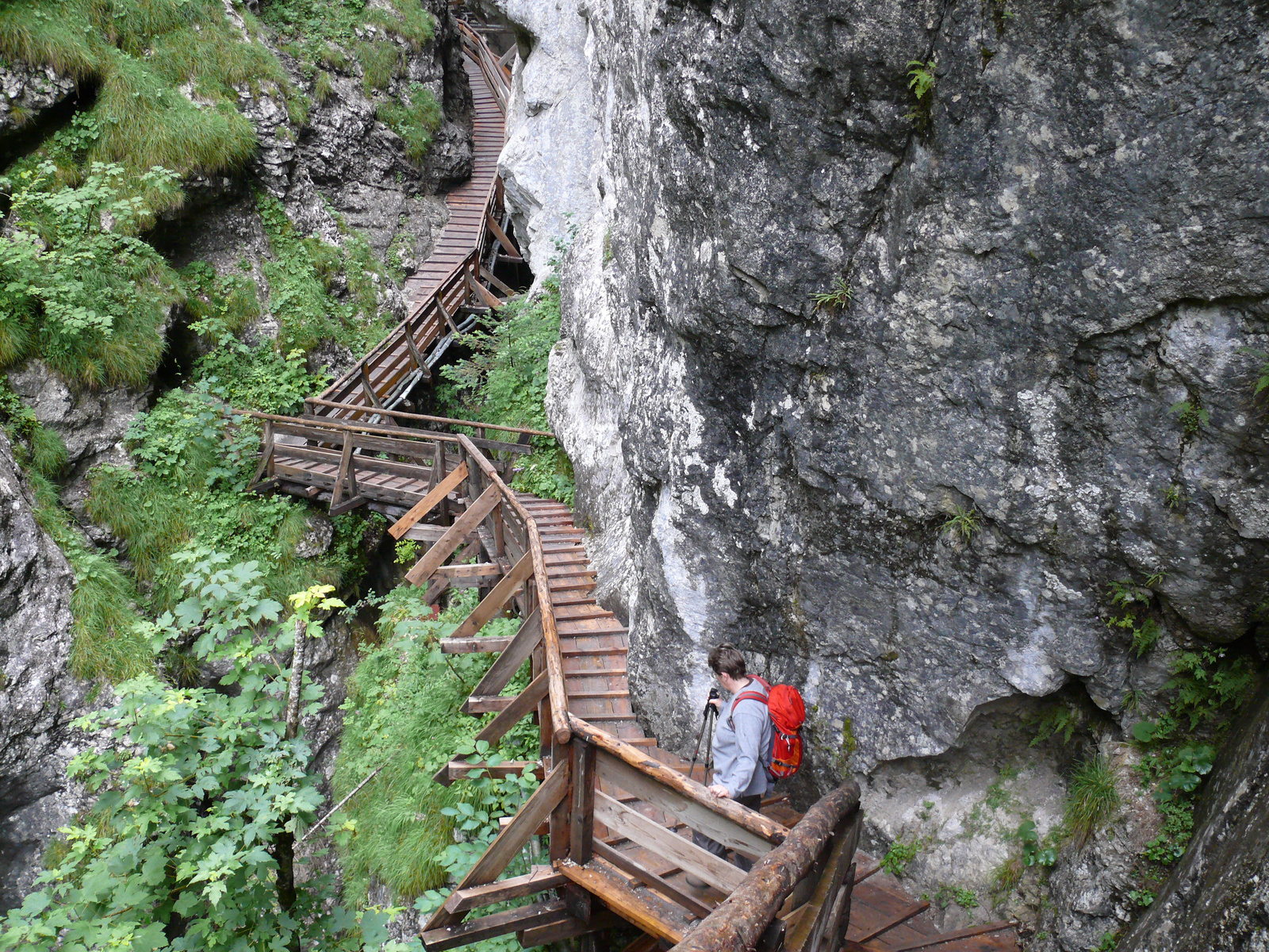 Wörschach-klamm (83)