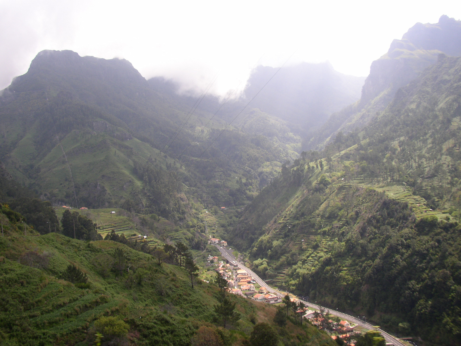 madeira2007 105