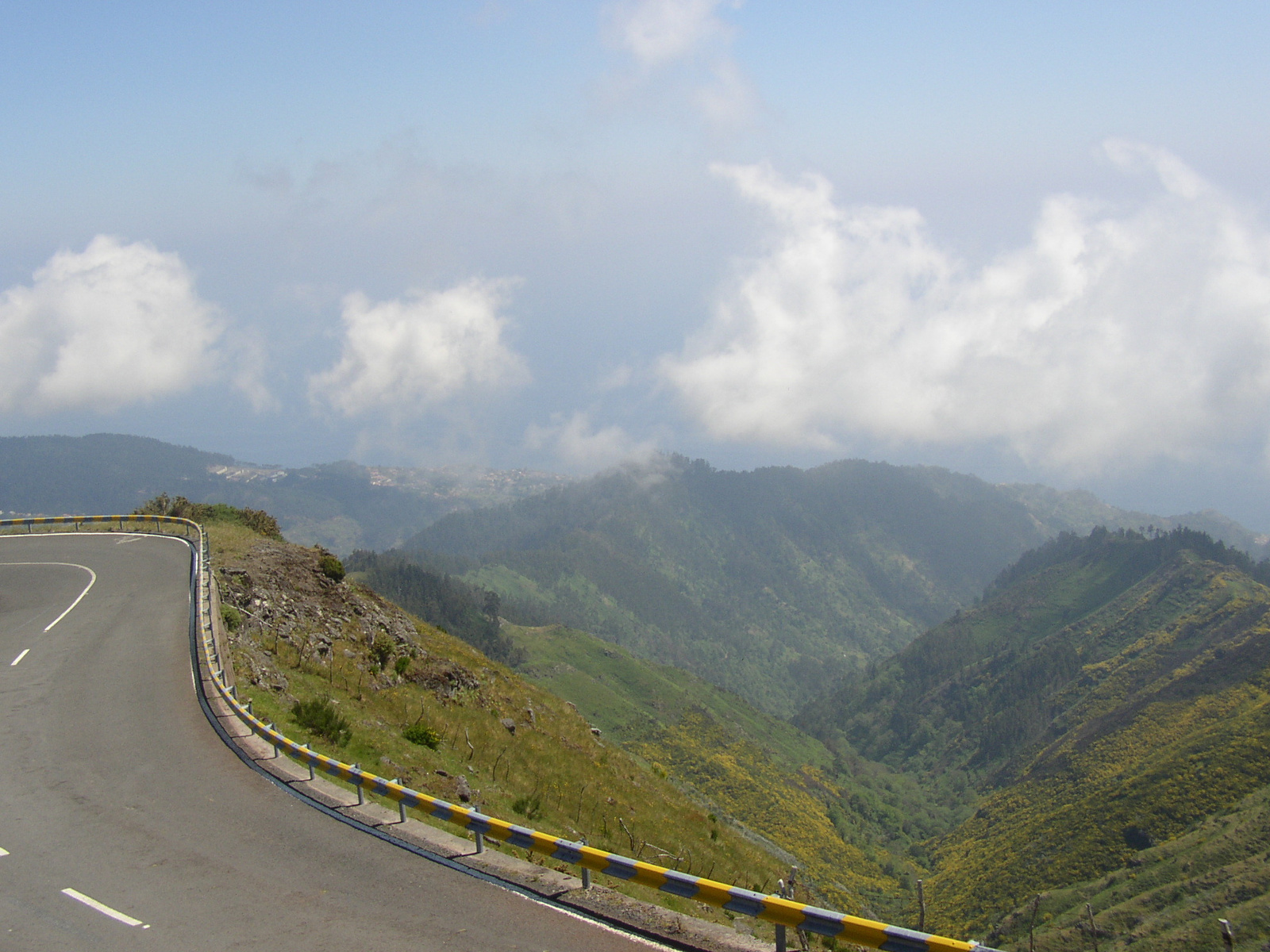 madeira2007 154