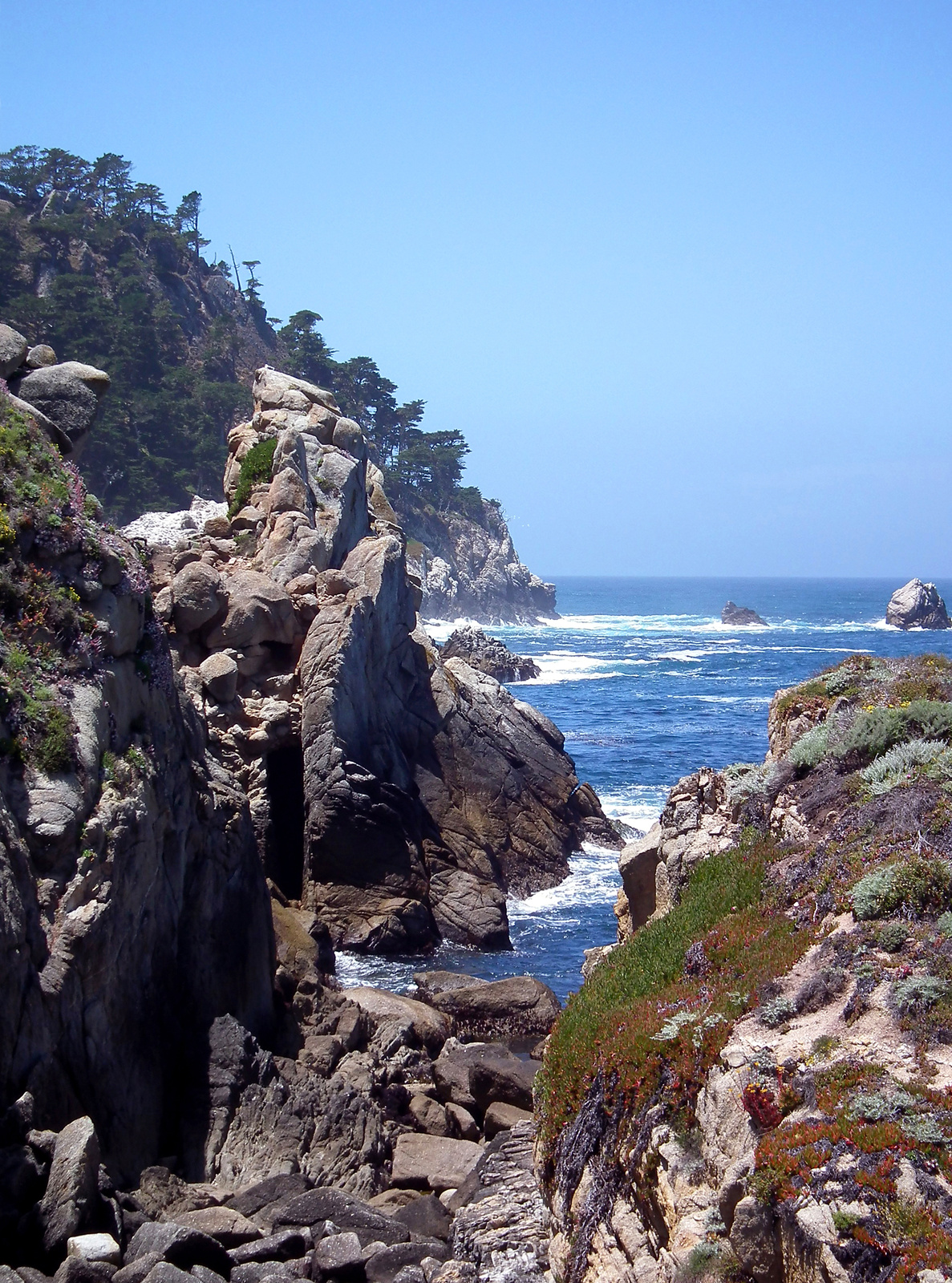 Point Lobos StateReserve