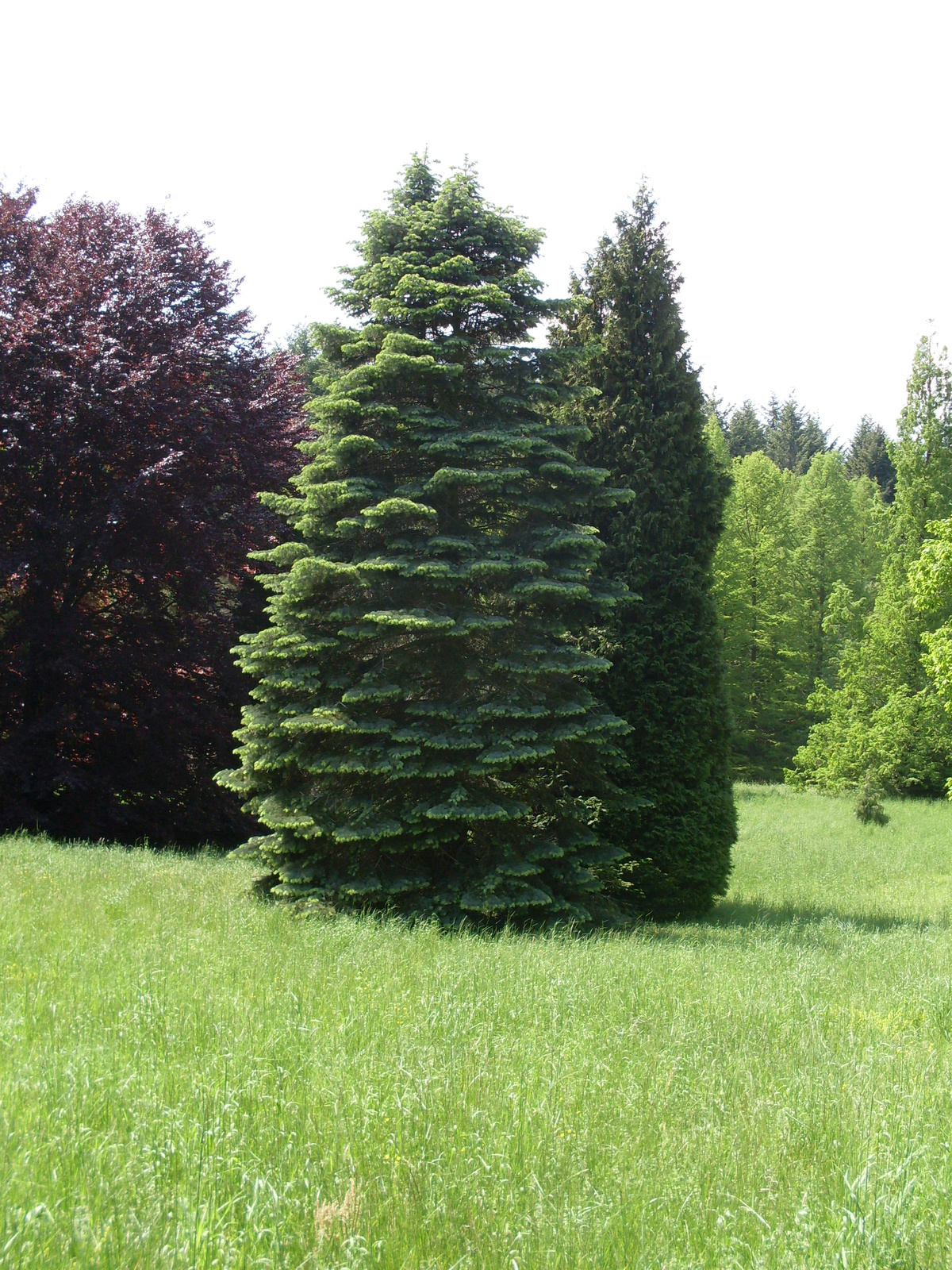 Vértesszőlős és Agostyán arborétum 145