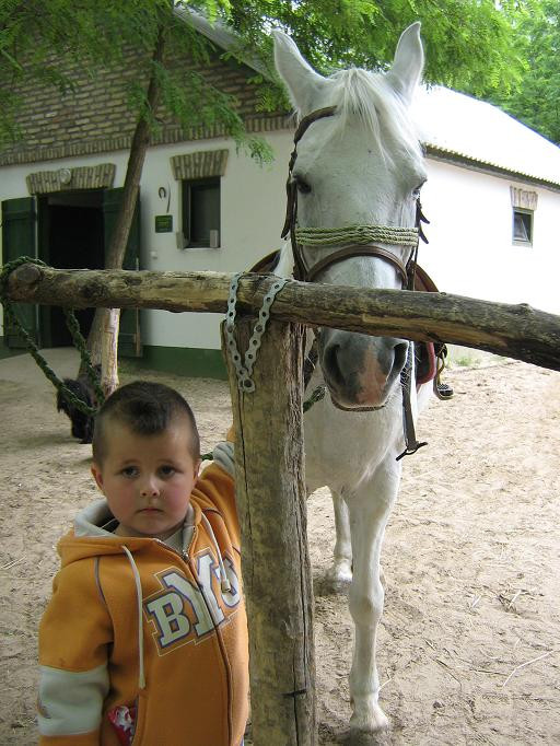 2009.06.04. Erdei óvoda Jánoshalma 116