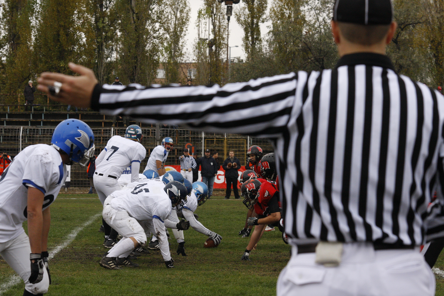 superbowl wolves-sharks 19