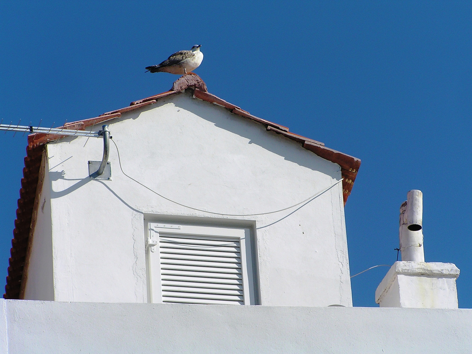 Baska2011 070