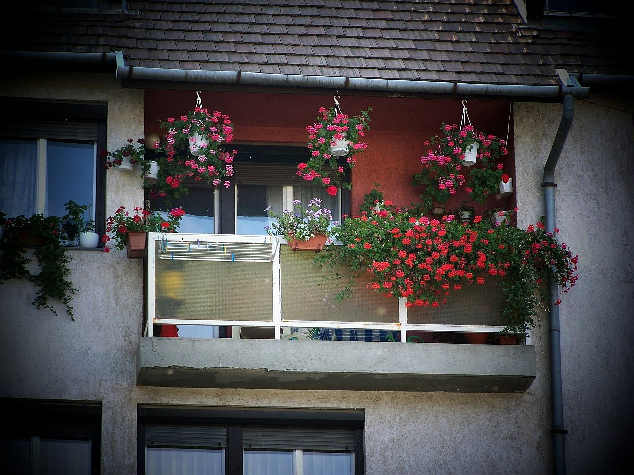 Salgótarjáni képek, egy jóizlésű polgár erkélye
