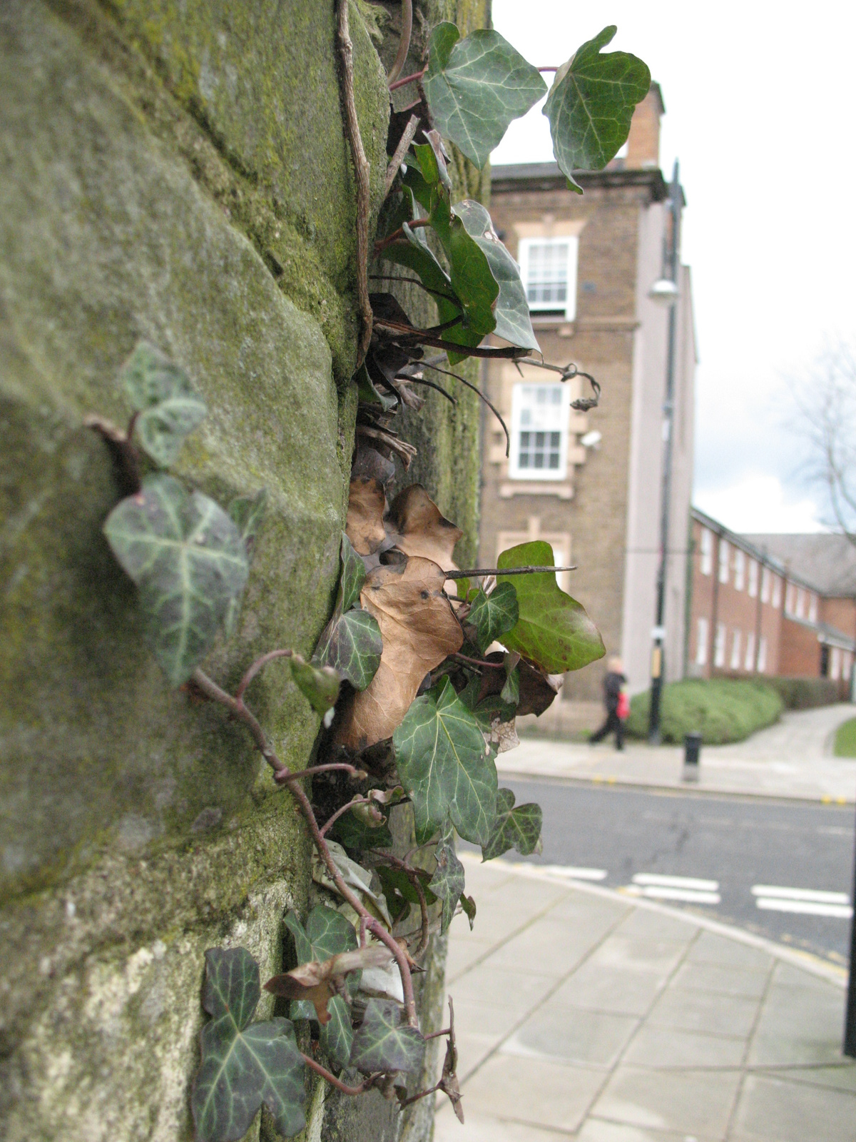 Church Road corner