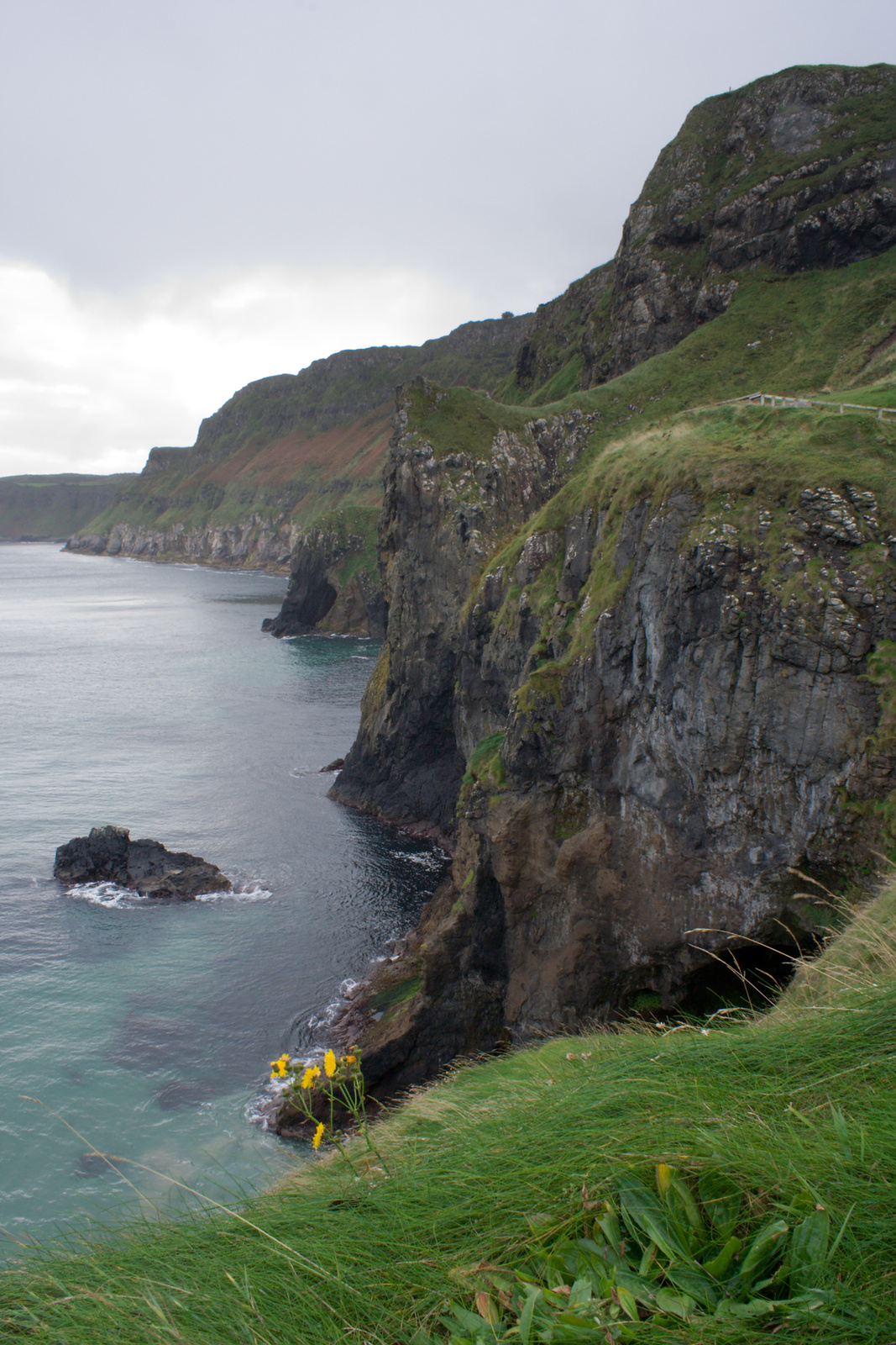 9.nap( MG 4686-1)Carrick a Rede