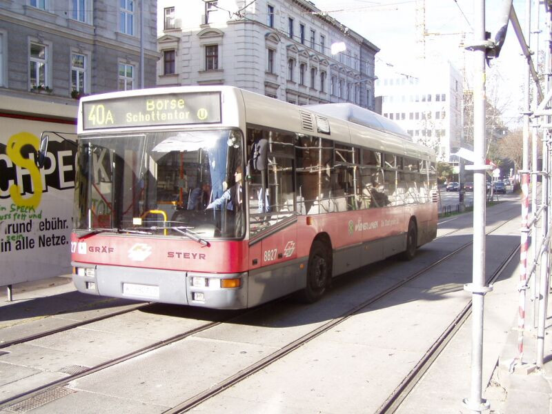 busz (2)