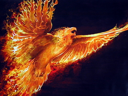 phoenix