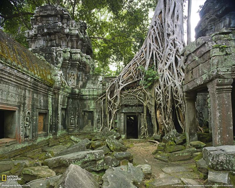 ta-prohm-ruins-062109-xl (Medium)