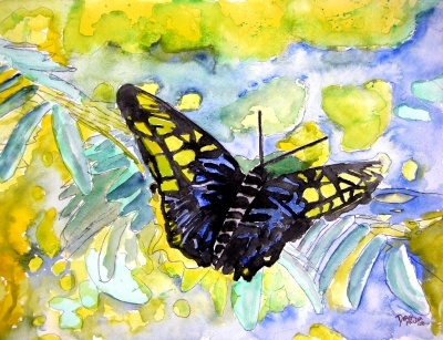 butterfly painting