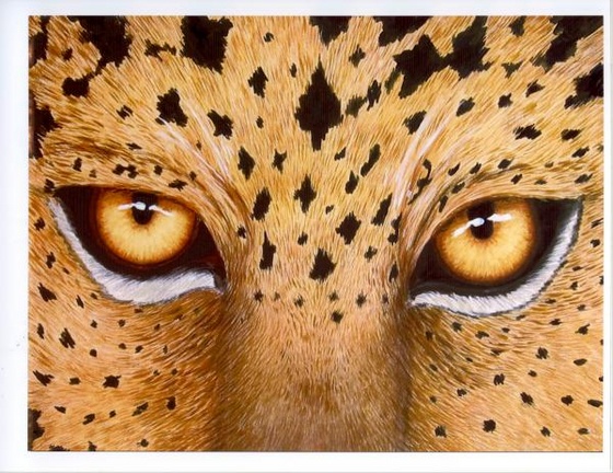 wild-eyes-lorraine-foster