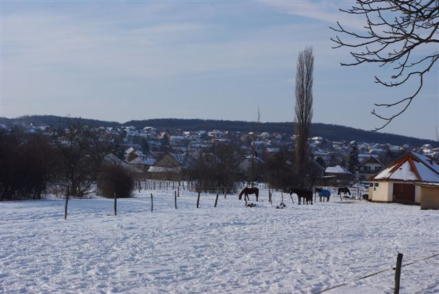 Litér téli tájai 053