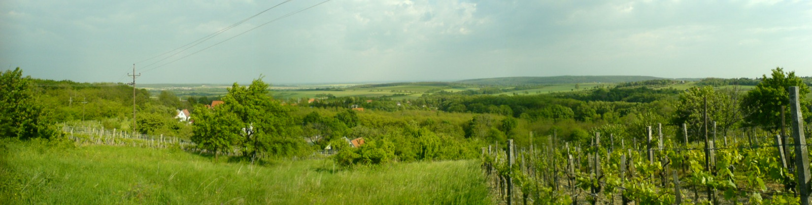 PANORÁMA