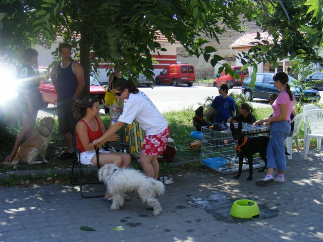 2009.07.18konrad orokbefogado nap 026