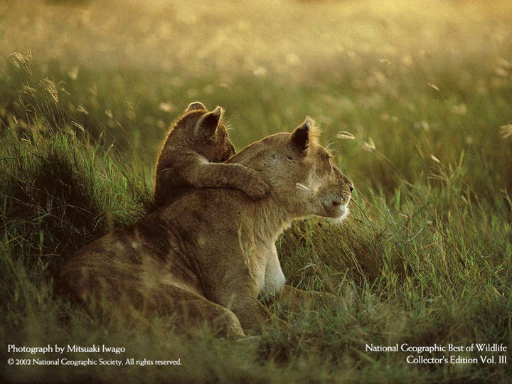 450-nationalgeographic21.012