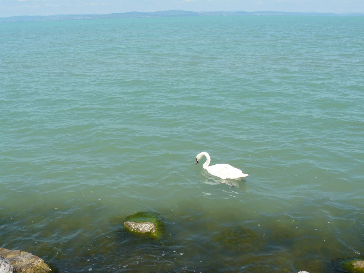 2009.06.05-08 Siófok 331