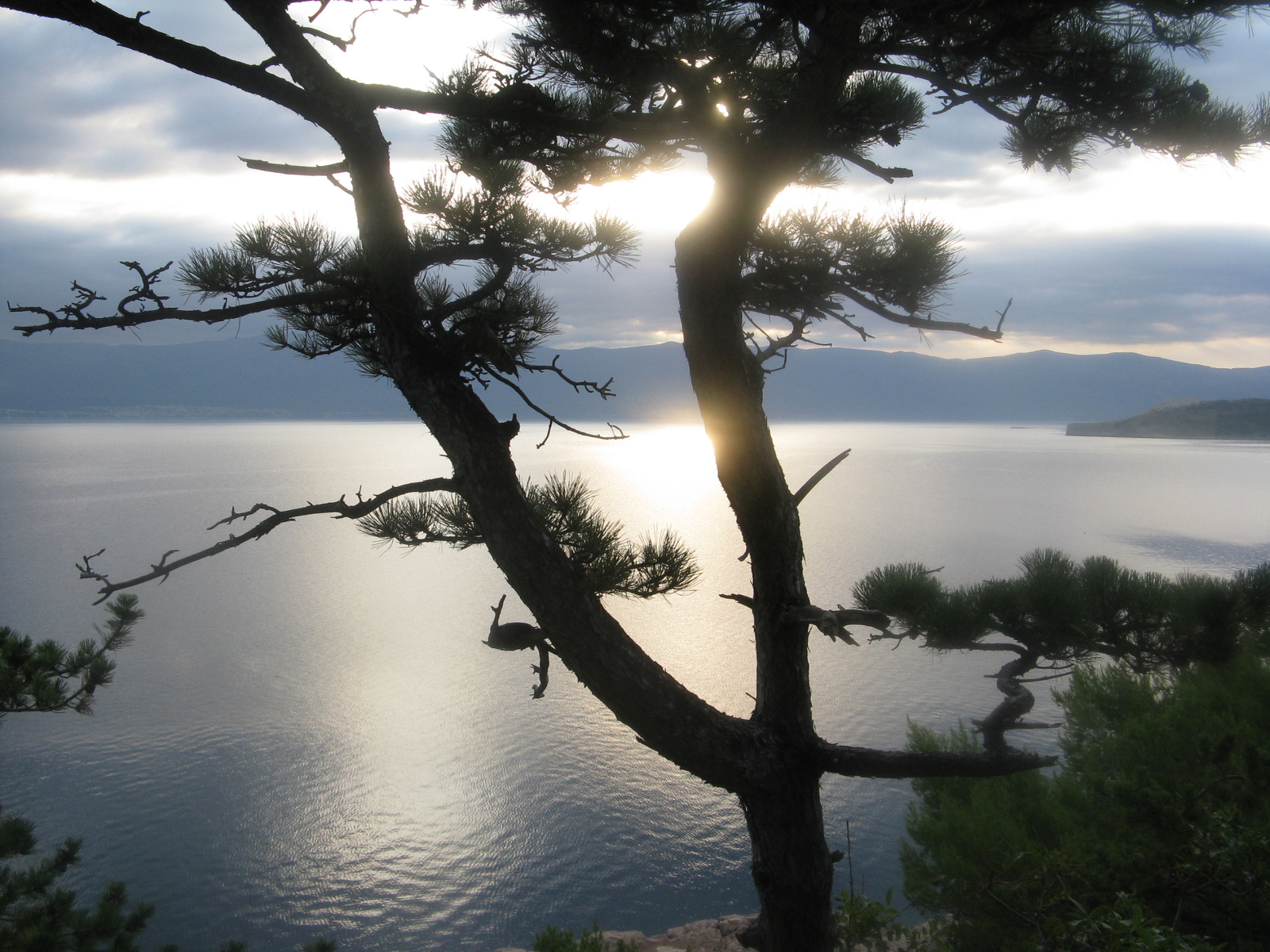 Vrbnik 2011 082