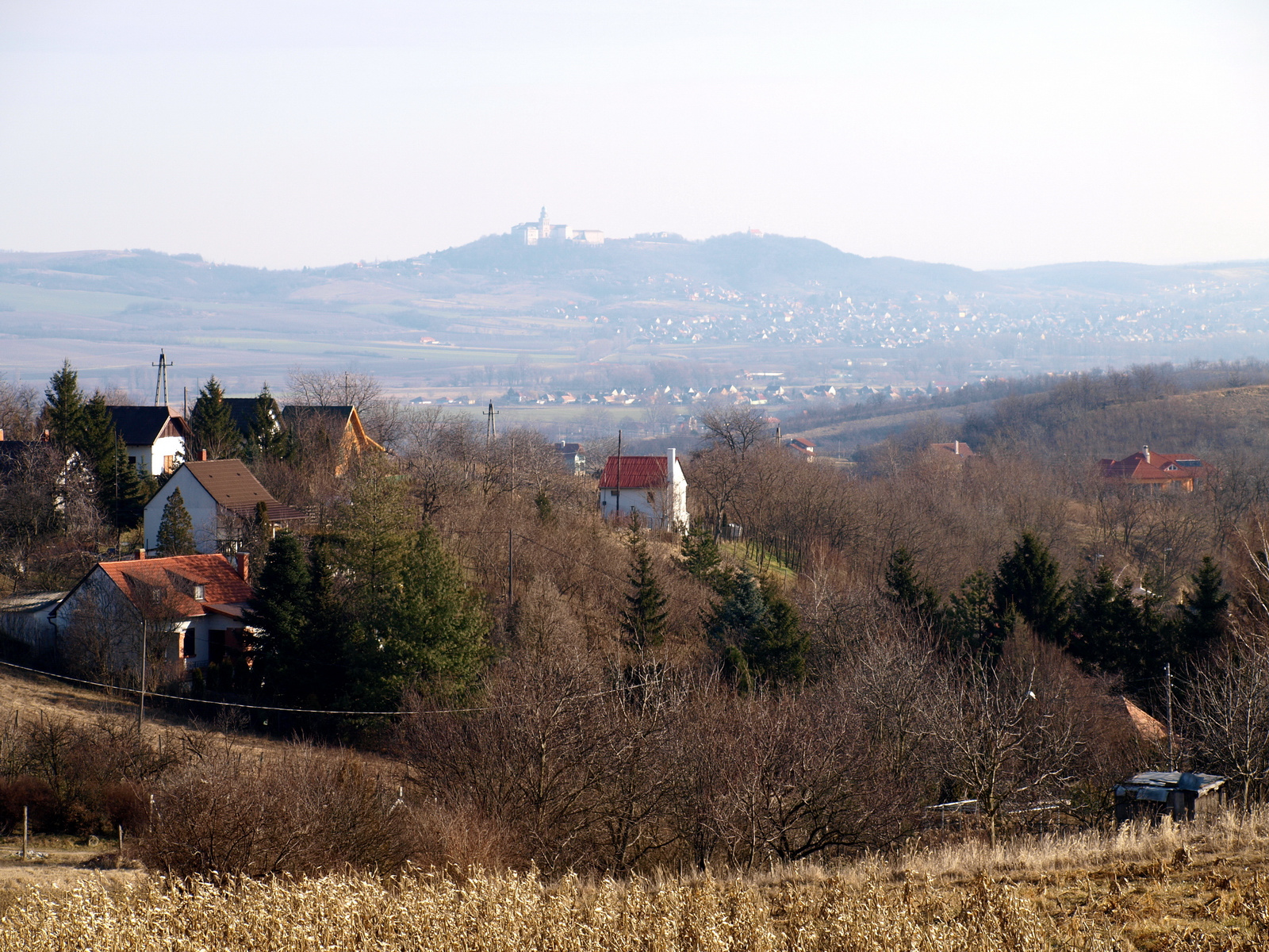 Nyúlhegy, kilátás Pannonhalma irányába (1)