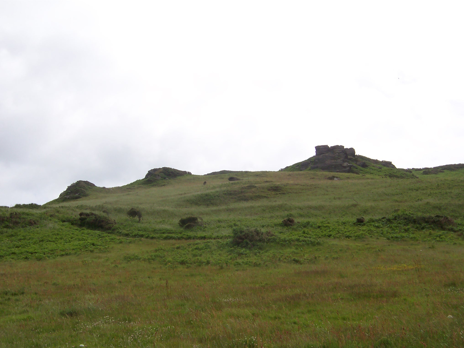 Salcombe Hills