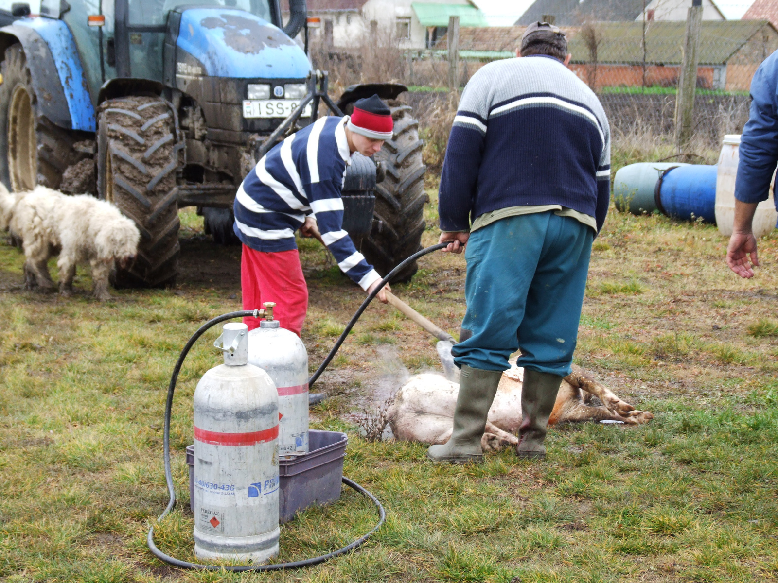 szőrtelenít