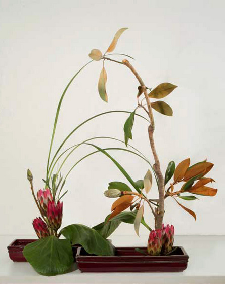 magnolia-protea-ikebana-167