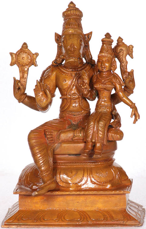 varaha incarnation of lord vishnu with his shakti rq13