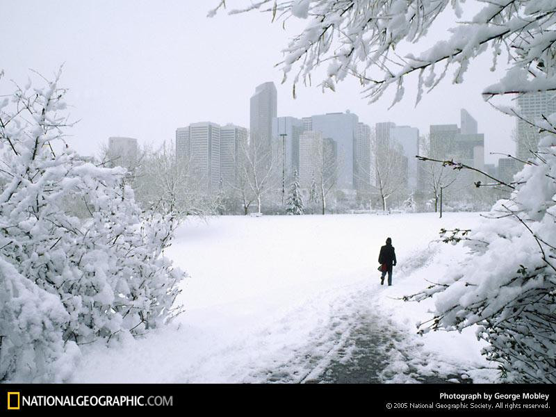 calgary-spring-69524-sw (Medium)