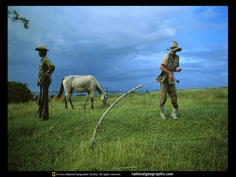 cuban-farmers-526139-sw (Medium)