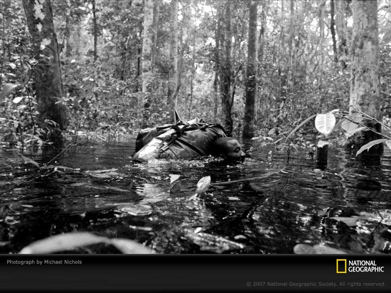 flooded-gabon-forest-689103-sw (Medium)