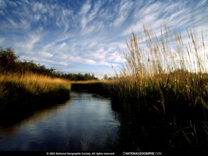 fox-river-514433-sw (Medium)