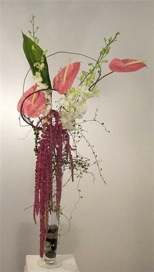 amaranthus-anthurium-DSCN13 (Medium)