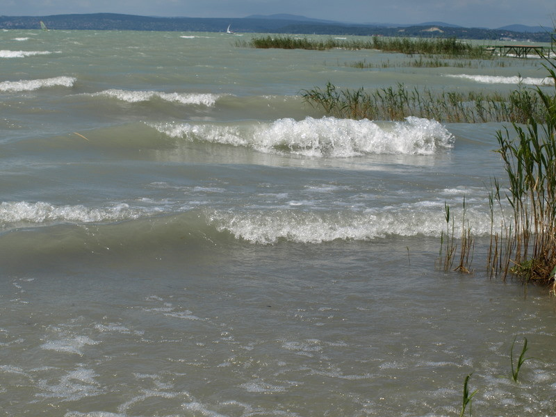 balaton2008+ 099