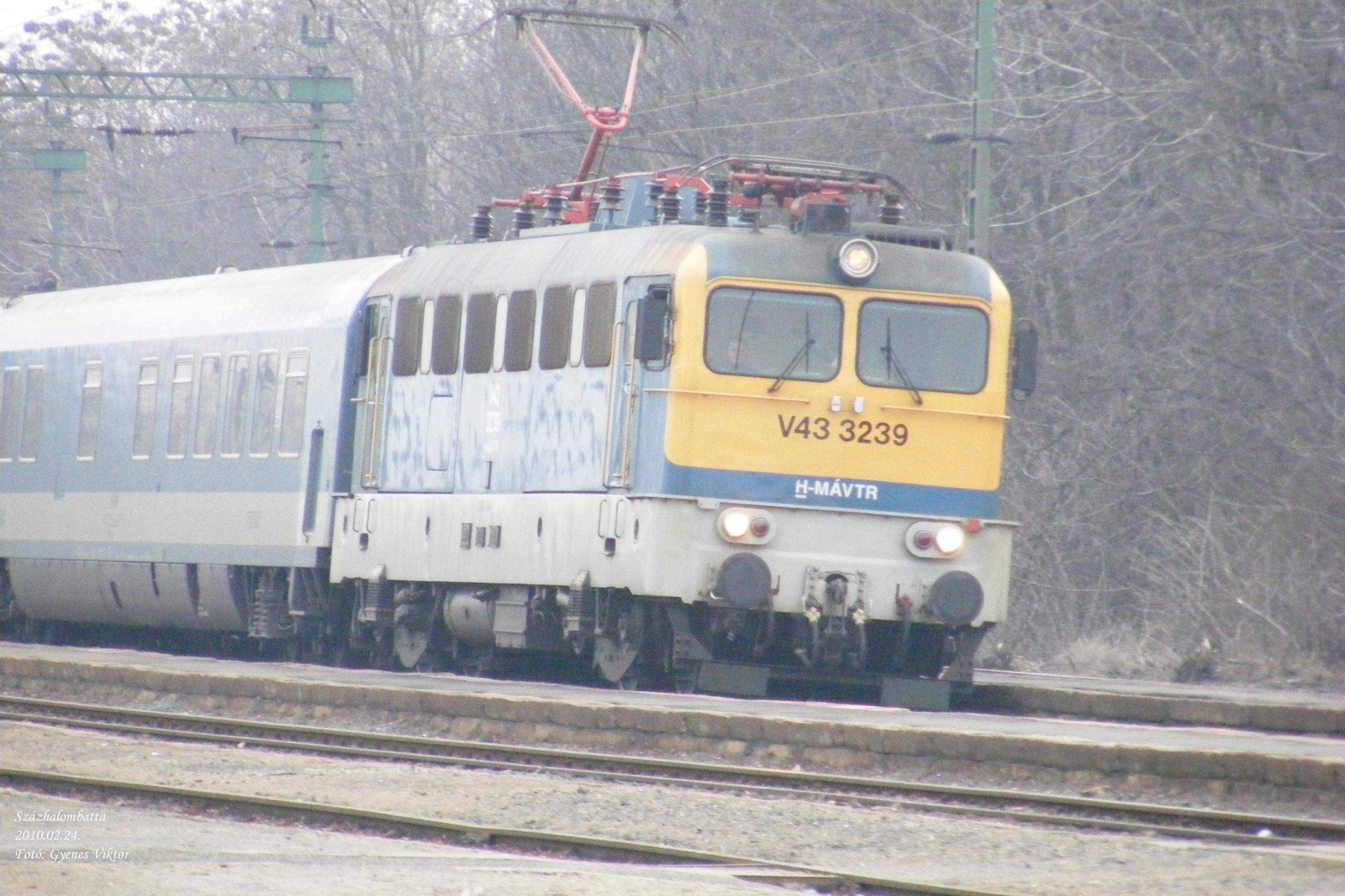 V43-3239