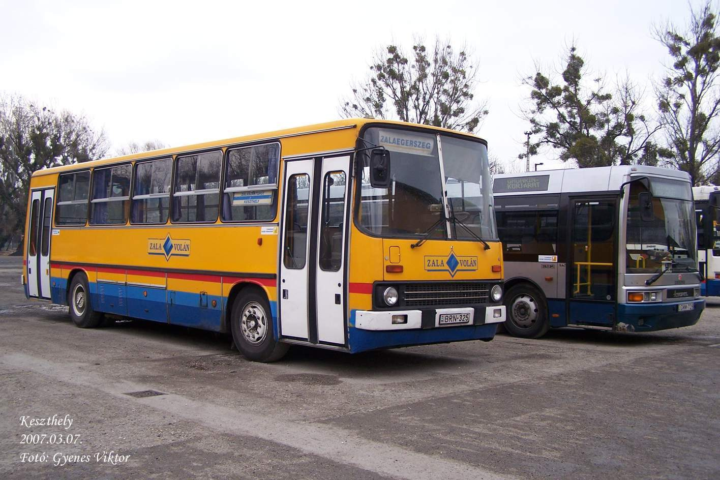 Ikarus 260-BRN-325