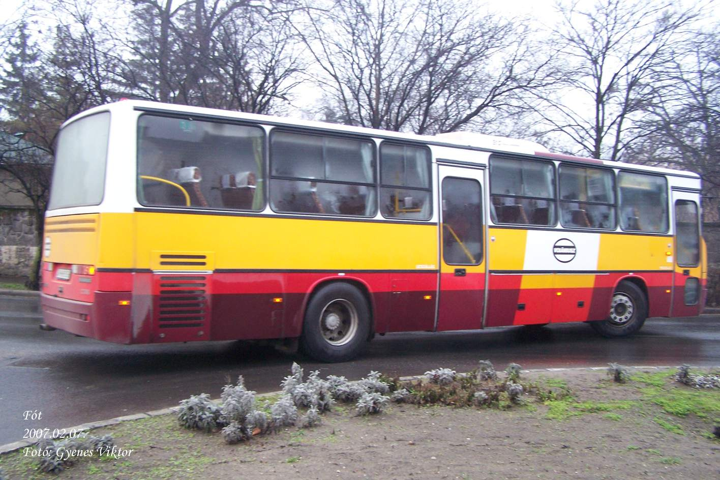 Ikarus Classic C56-HHR-659 2