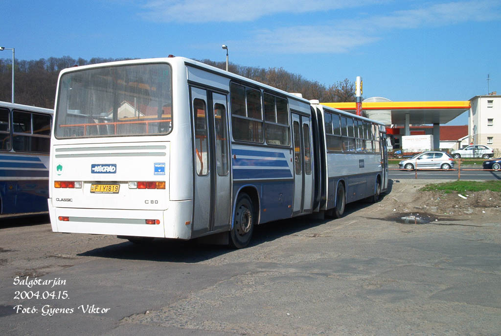 Ikarus Classic C80-FIY-819