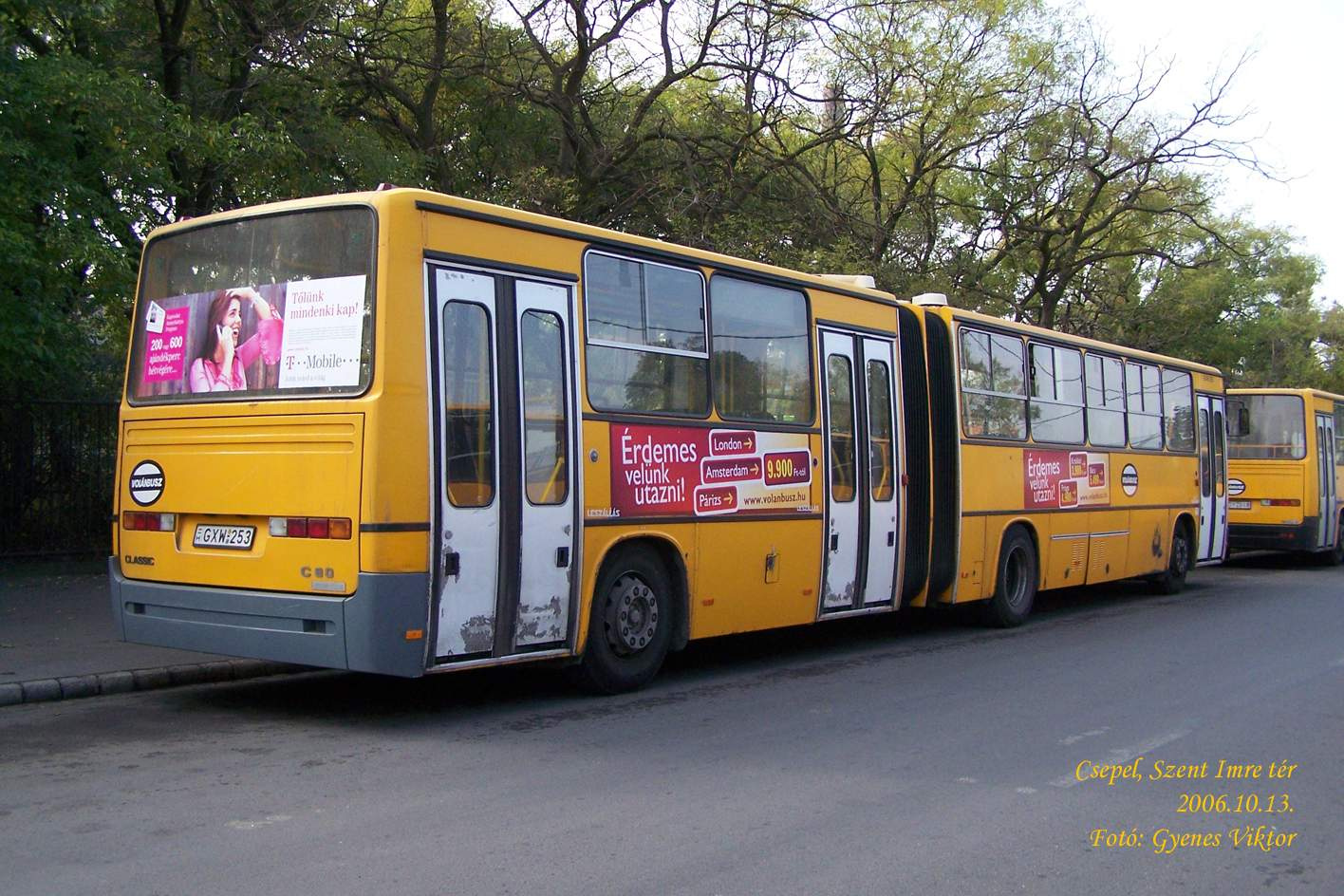 Ikarus Classic C80-GXW-253 1