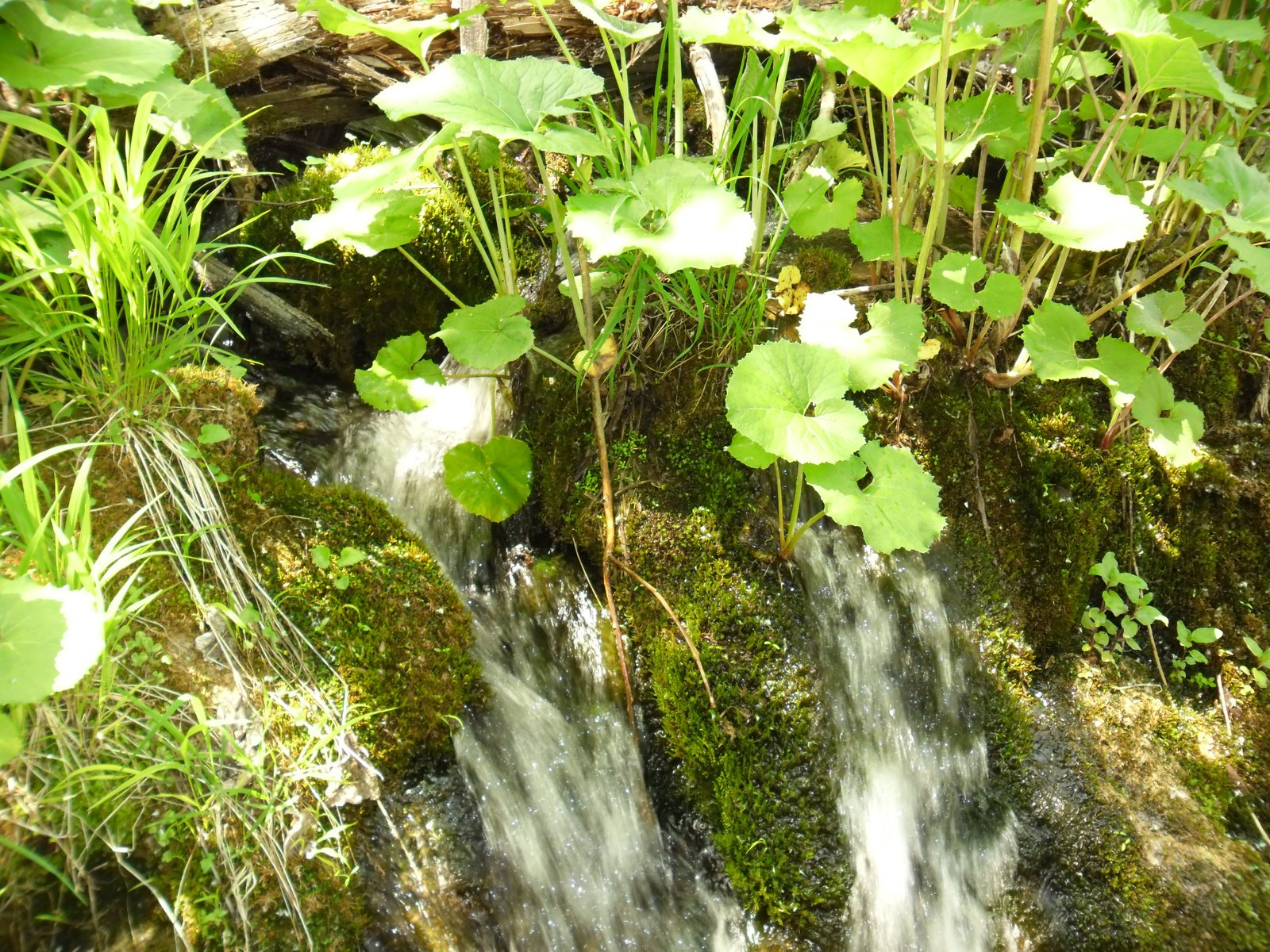 Plitvice 2011.05.21. 018