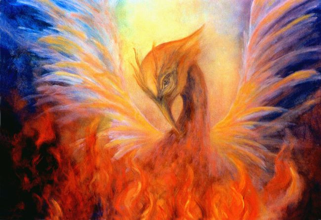 The Phoenix rising (Marina Petro)