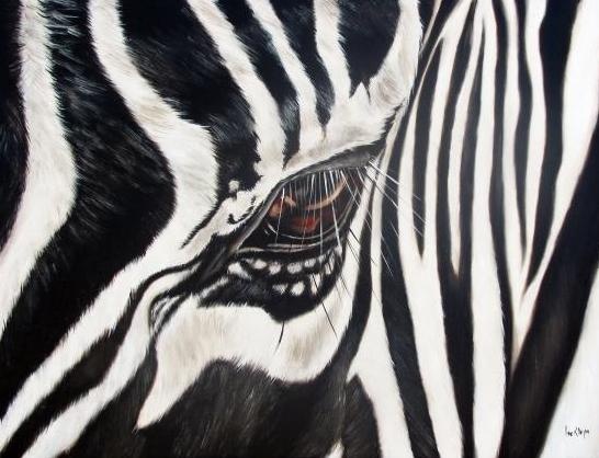 Zebra eye (Ilse Kleyn)