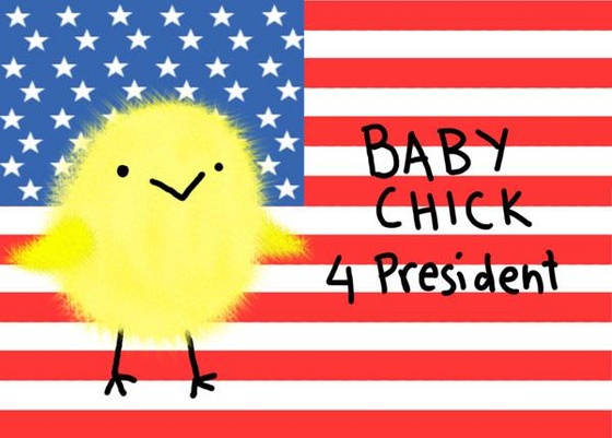Baby chick for president!