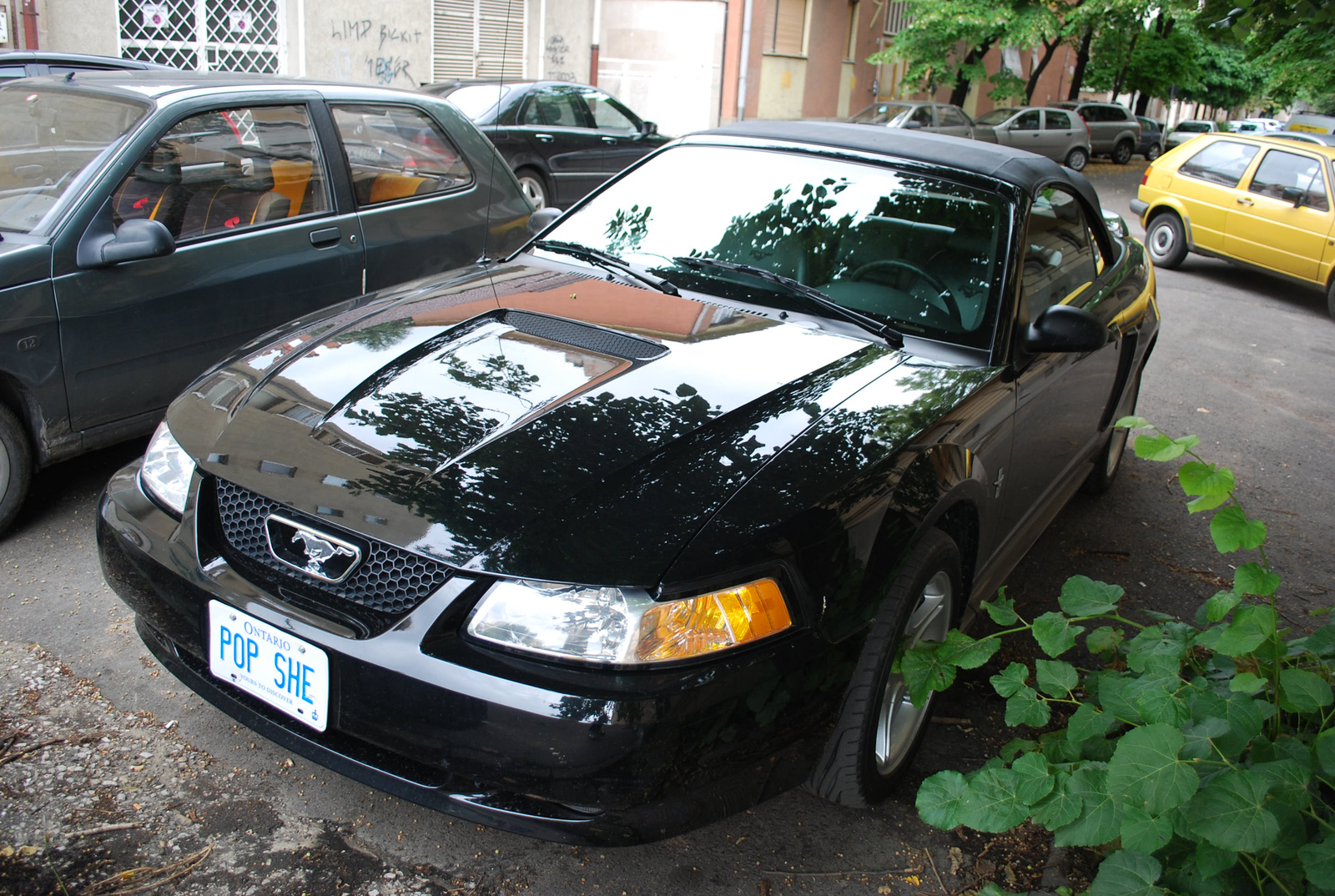 Ford Mustang GT Convertible