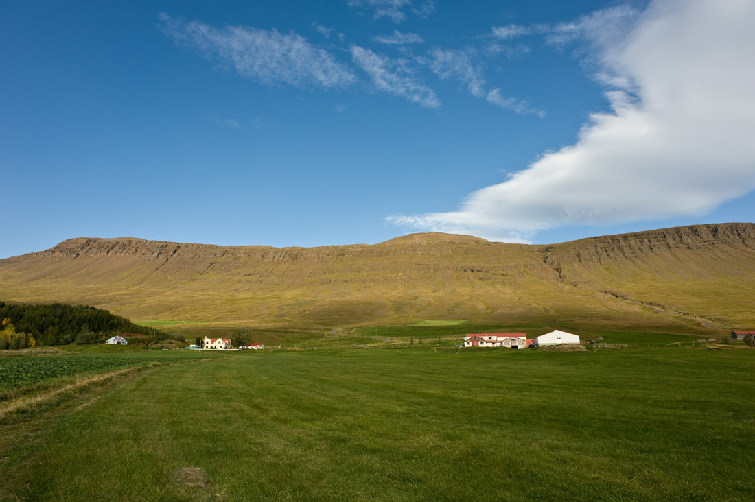 A fjord aljában