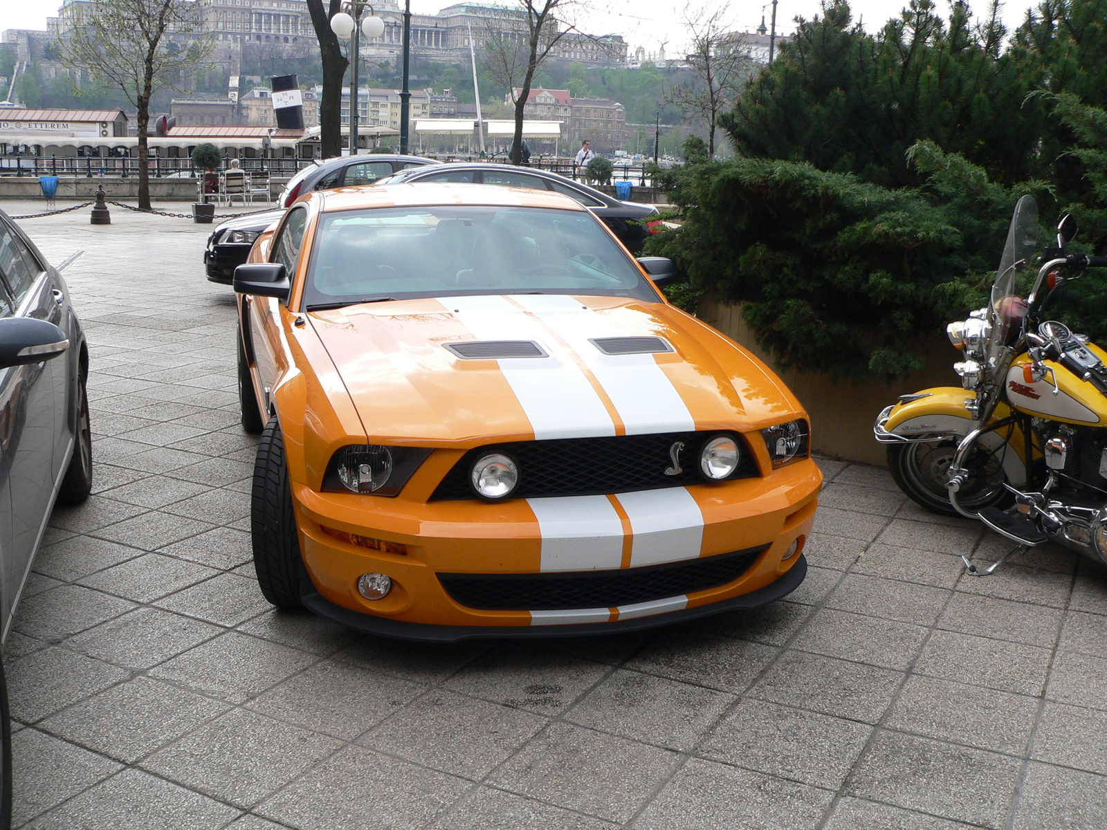 Shelby GT500