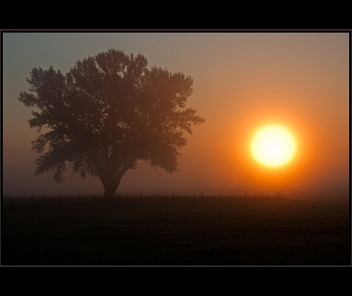 Ébredés (2010. augusztus, Mosoni-Duna)