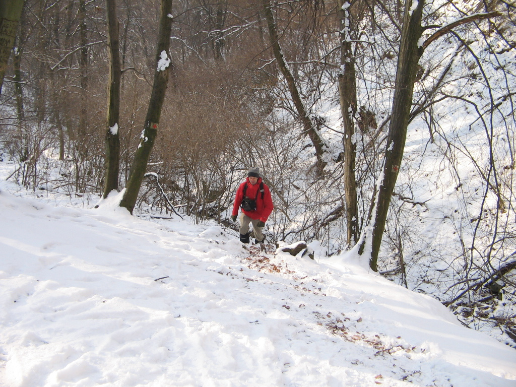 Holdvilág árok, Lajosforrás túra 2010.01.24. 007